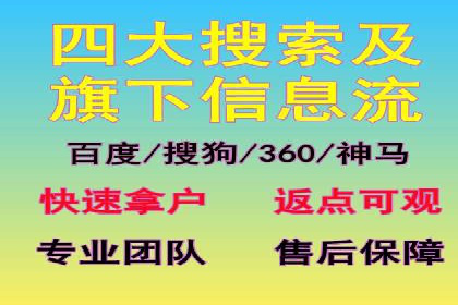 竞价广告策略案例分析