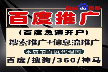 某电商企业如何利用百度搜索推广提升销售额
